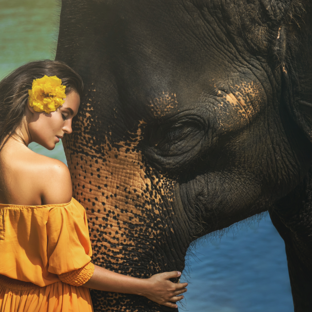 Woman and elephant symbolizing spiritual connection in a spirit animal journey